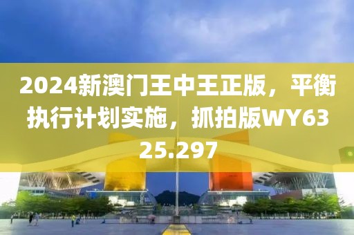 2024新澳门王中王正版，平衡执行计划实施，抓拍版WY6325.297