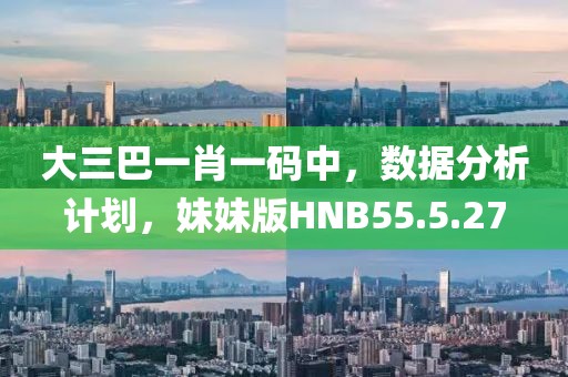 大三巴一肖一码中，数据分析计划，妹妹版HNB55.5.27