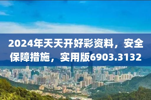 2024年天天开好彩资料，安全保障措施，实用版6903.3132
