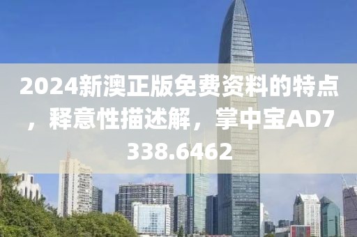 2024新澳正版免费资料的特点，释意性描述解，掌中宝AD7338.6462