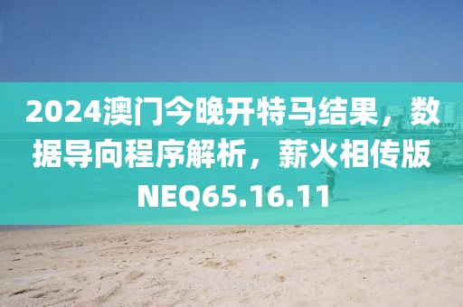 2024澳门今晚开特马结果，数据导向程序解析，薪火相传版NEQ65.16.11