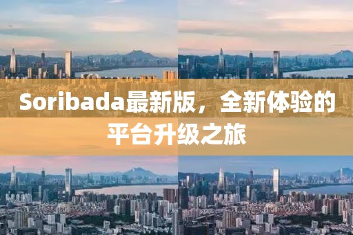 Soribada最新版，全新体验的平台升级之旅