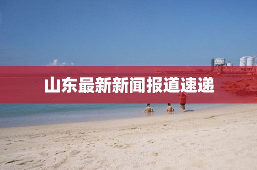 山东最新新闻报道速递