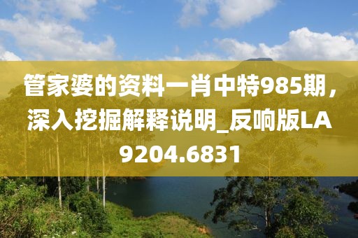 管家婆的资料一肖中特985期，深入挖掘解释说明_反响版LA9204.6831