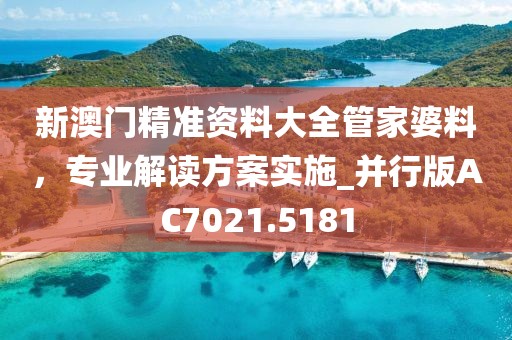 新澳门精准资料大全管家婆料，专业解读方案实施_并行版AC7021.5181