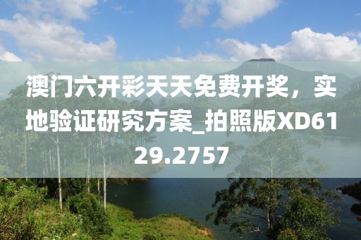 澳门六开彩天天免费开奖，实地验证研究方案_拍照版XD6129.2757