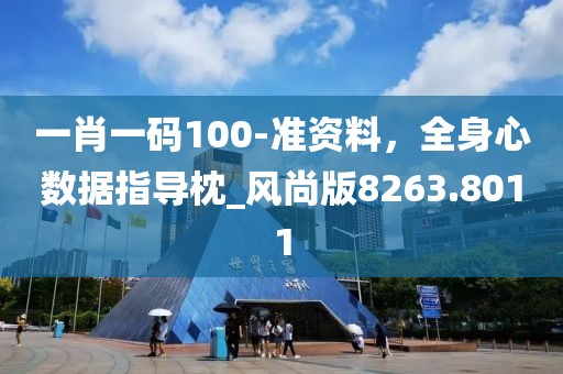一肖一码100-准资料，全身心数据指导枕_风尚版8263.8011