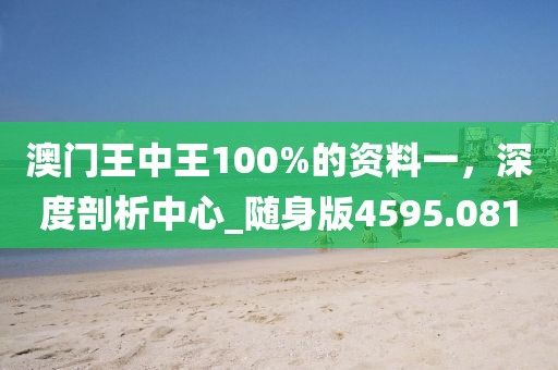 澳门王中王100%的资料一，深度剖析中心_随身版4595.081
