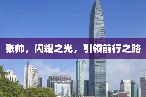 张帅，闪耀之光，引领前行之路