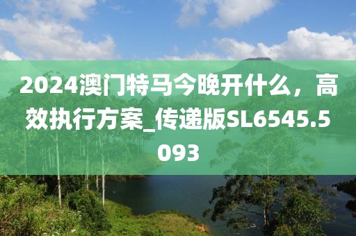 2024澳门特马今晚开什么，高效执行方案_传递版SL6545.5093
