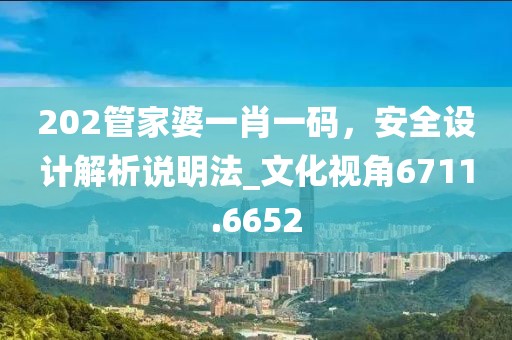 202管家婆一肖一码，安全设计解析说明法_文化视角6711.6652