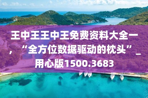 王中王王中王免费资料大全一，“全方位数据驱动的枕头”_用心版1500.3683