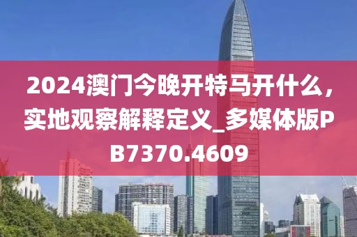 2024澳门今晚开特马开什么，实地观察解释定义_多媒体版PB7370.4609