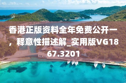 香港正版资料全年免费公开一，释意性描述解_实用版VG1867.3201
