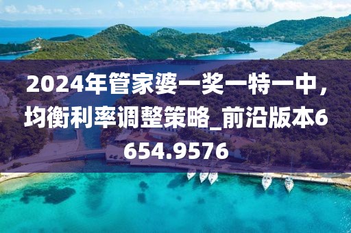 2024年管家婆一奖一特一中，均衡利率调整策略_前沿版本6654.9576