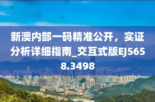 新澳内部一码精准公开，实证分析详细指南_交互式版EJ5658.3498