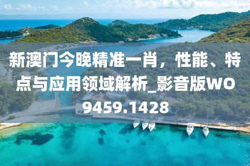 新澳门今晚精准一肖，性能、特点与应用领域解析_影音版WO9459.1428