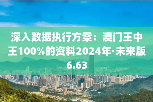 深入数据执行方案：澳门王中王100%的资料2024年·未来版6.63