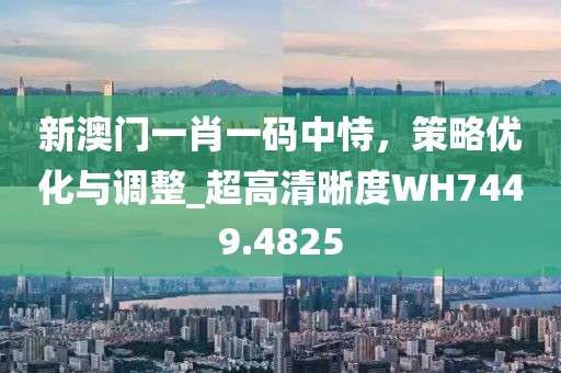 新澳门一肖一码中恃，策略优化与调整_超高清晰度WH7449.4825