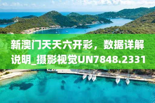 新澳门天天六开彩，数据详解说明_摄影视觉UN7848.2331