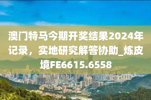 澳门特马今期开奖结果2024年记录，实地研究解答协助_炼皮境FE6615.6558