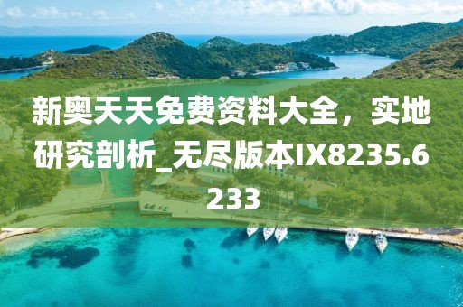 新奥天天免费资料大全，实地研究剖析_无尽版本IX8235.6233