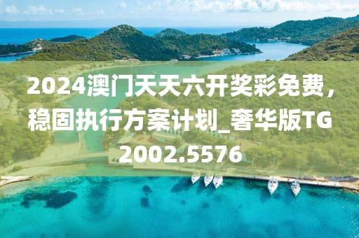 2024澳门天天六开奖彩免费，稳固执行方案计划_奢华版TG2002.5576