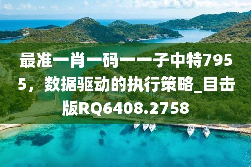 最准一肖一码一一子中特7955，数据驱动的执行策略_目击版RQ6408.2758