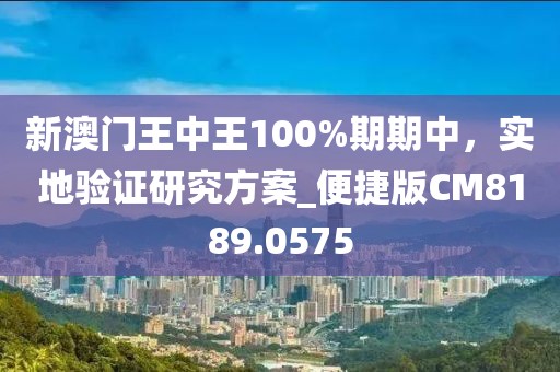 新澳门王中王100%期期中，实地验证研究方案_便捷版CM8189.0575