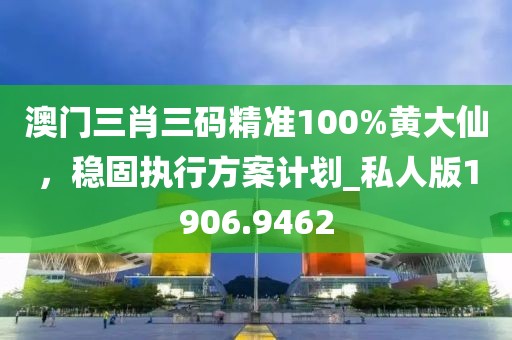 澳门三肖三码精准100%黄大仙，稳固执行方案计划_私人版1906.9462