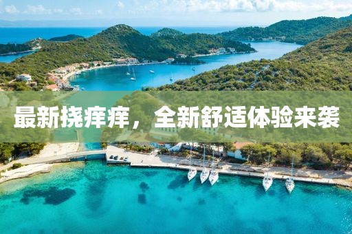 市博实 第5页