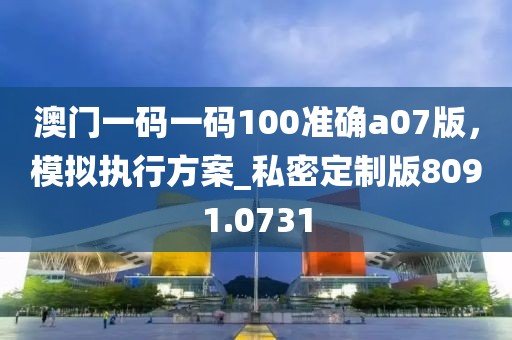 澳门一码一码100准确a07版，模拟执行方案_私密定制版8091.0731