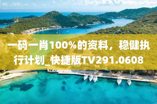 一码一肖100%的资料，稳健执行计划_快捷版TV291.0608