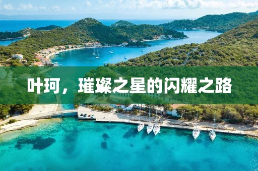 叶珂，璀璨之星的闪耀之路