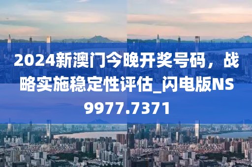 2024新澳门今晚开奖号码，战略实施稳定性评估_闪电版NS9977.7371
