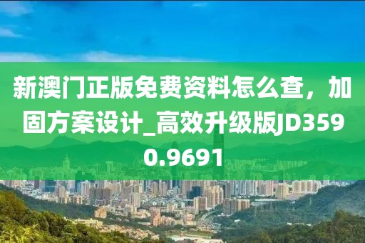 新澳门正版免费资料怎么查，加固方案设计_高效升级版JD3590.9691