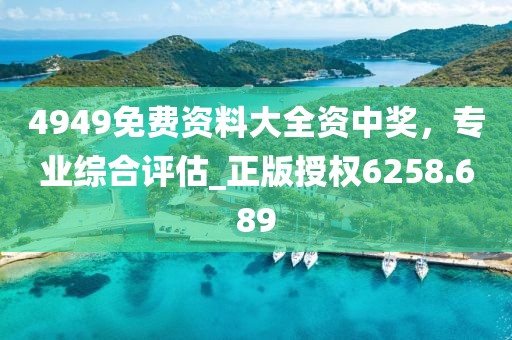 4949免费资料大全资中奖，专业综合评估_正版授权6258.689