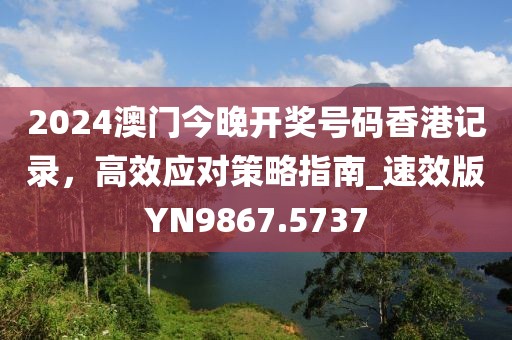 2024澳门今晚开奖号码香港记录，高效应对策略指南_速效版YN9867.5737