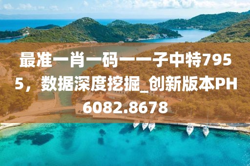 最准一肖一码一一子中特7955，数据深度挖掘_创新版本PH6082.8678