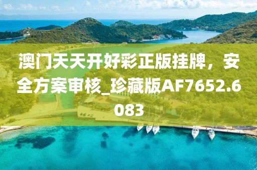 澳门天天开好彩正版挂牌，安全方案审核_珍藏版AF7652.6083