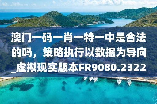 澳门一码一肖一特一中是合法的吗，策略执行以数据为导向_虚拟现实版本FR9080.2322