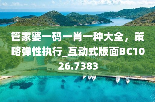 管家婆一码一肖一种大全，策略弹性执行_互动式版面BC1026.7383