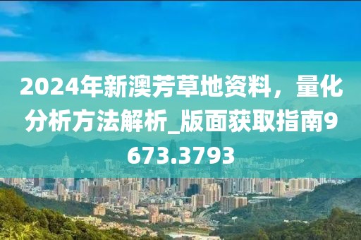 2024年新澳芳草地资料，量化分析方法解析_版面获取指南9673.3793