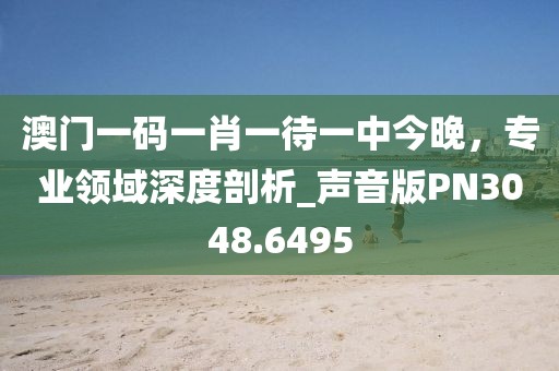 澳门一码一肖一待一中今晚，专业领域深度剖析_声音版PN3048.6495