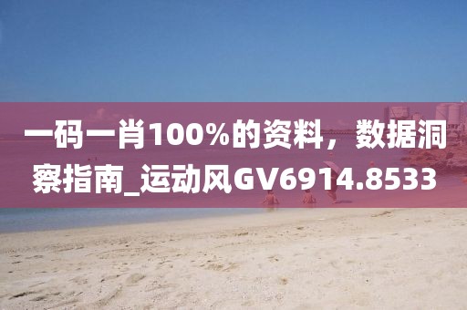 一码一肖100%的资料，数据洞察指南_运动风GV6914.8533