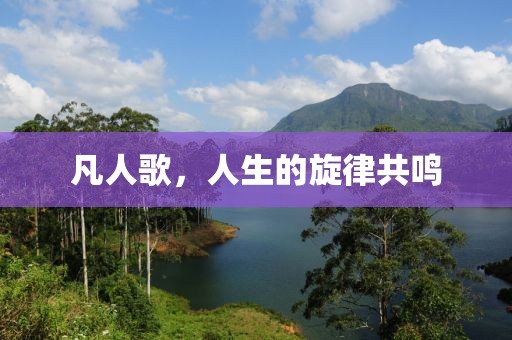 凡人歌，人生的旋律共鸣