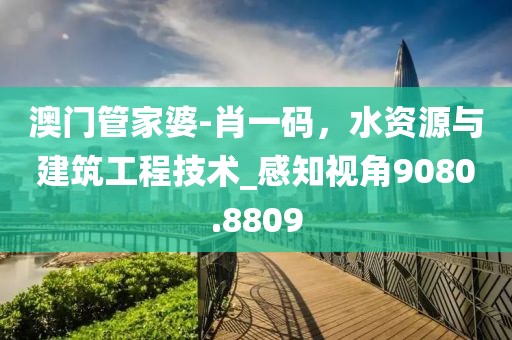2024年11月 第224页