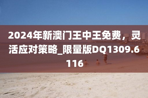 2024年新澳门王中王免费，灵活应对策略_限量版DQ1309.6116