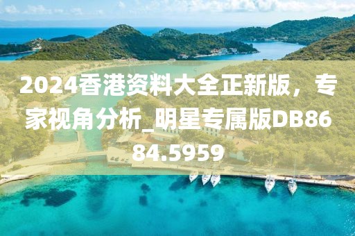 2024香港资料大全正新版，专家视角分析_明星专属版DB8684.5959