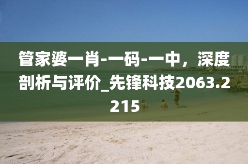 管家婆一肖-一码-一中，深度剖析与评价_先锋科技2063.2215